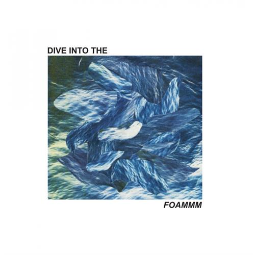 FOAMMM Dive Into The Foammm (12'')